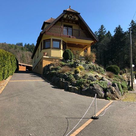 Villa Buhl de Bonheur Guebwiller Exterior foto